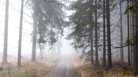 Der Herbst ist in Sachen Brückentage 2026 wirklich grau und trist. Die beiden Feiertage fallen aufs Wochenende.