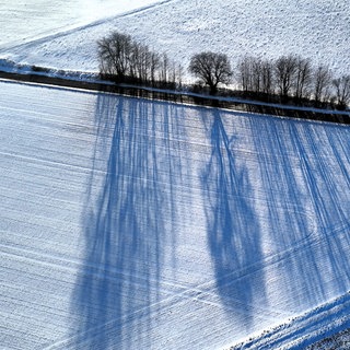Bäume werfen Schatten in einer malerischen Winterlandschaft - In RLP fällt am Wochenende Neuschnee bis ins Flachland. 