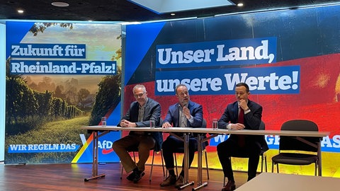 Pressekonferenz der AfD Rheinland-Pfalz. Die Parteispitze hat erläutert, wie sie in den Wahlkampf zur Landtagswahl 2026 gehen will.