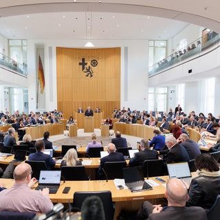 Der neue Landtag in Rheinland-Pfalz soll am 22. März gewählt werden, 12 Parteien sind zur Wahl zugelassen. 