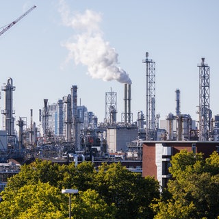 Die Tarifrunde in der Chemie startet in Rheinland-Pfalz: Blick auf das BASF-Werk in Ludwigshafen