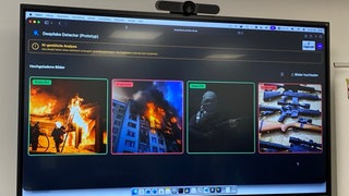 Bilder, die anhand der neuen KI-Anwendung Deepfake Detector der rheinland-pfälzischen Polizei auf ihre Echtheit überprüft wurden.