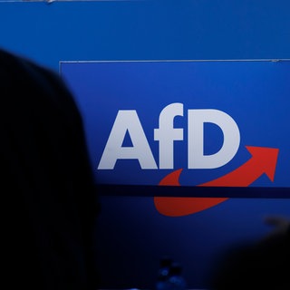 Neue Hinweise auf sogenannte Vetternwirtschaft bei AfD - Münzenmaier und Jungbluth mit dabei