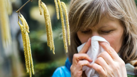 Frau mit Taschentuch vor einer Hasel: In Rheinland-Pfalz fliegen die Pollen immer früher. 