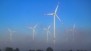 Am frühen Morgen ragen Windenergieanlagen aus dem Nebel.