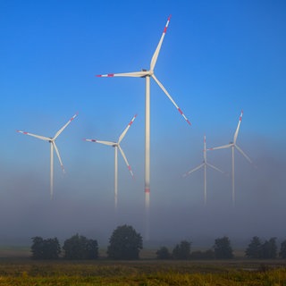 Am frühen Morgen ragen Windenergieanlagen aus dem Nebel.