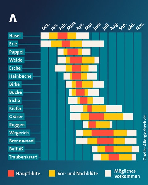 Pollenflugkalender 