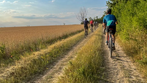 Radsportler fahren mit Gravelbikes durch die Natur. Während Corona boomten die Umsatz- und Absatzzahlen der Fahrradbranche, dann gingen sie zurück. Zuletzt hat sich die Lage stabilisiert - vor allem spezialisierte Räder wie Gravelbikes oder Rennräder sind gefragt.