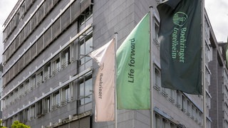 Die Firmenzentrale der Boehringer Ingelheim Deutschland GmbH. Im Vordergrund wehen Fahnen mit dem Firmenlogo.