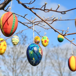 Bemalte Ostereier hängen an einem Baum. So wird das Wetter an Ostern.