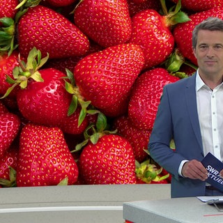 Nachrichtensprecher Florens Herbst