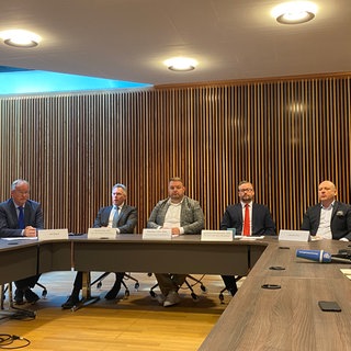 Die AfD startet eine Kampagne gegen die geplante Verfassungsänderung zu Untersuchungsausschüssen im Landtag.