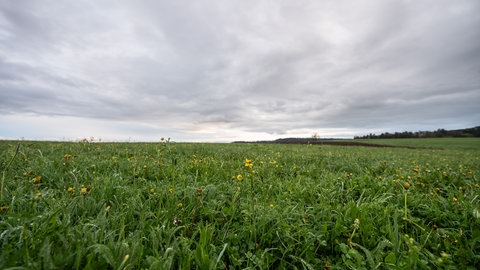 Ab Sonntag wird in Rheinland-Pfalz Regen erwartet.