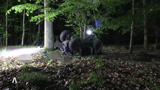 Quad nach Unfall