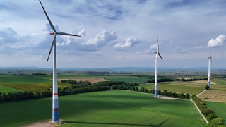 Windräder auf einem Feld in Rheinland-Pfalz. Energieverbände fürchten, dass der Windkraftausbau im Land durch den Fledermausschutz gebremst werden könnte.