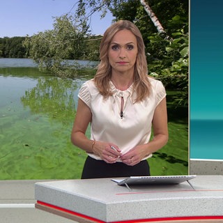 Nachrichtensprecherin Britta Krane