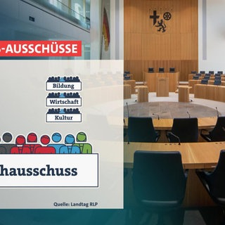Abbildung der Landtags-Ausschüsse