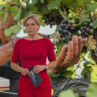 Nachrichtensprecherin Dorit Becker