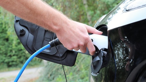 Bundesweit wurden die meisten E-Autos in Rheinland-Pfalz verkauft. Das Land ist bei den Neuzulassungen führend.