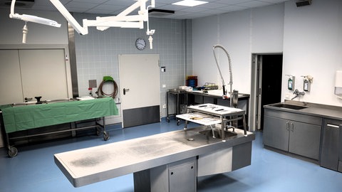 Seziertische in der Mainzer Rechtsmedizin