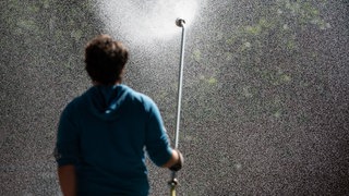 Ein Gärtner in Mainz bewässert Pflanzen - Wassertropfen flirren in der Luft