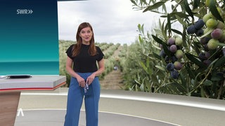 Nachrichtensprecherin Christina Dietrich