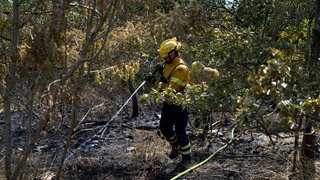Ein Feuerwehrmann bekämpft Glutnester im Gebiet am Rotenfels im Kreis Bad Kreuznach. Die Waldbrandgefahr steigt in RLP weiter.