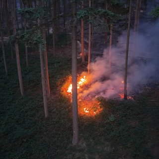 Blick von oben auf ein Feuer in einem Wald bei Bad Kreuznach (Archivbild)