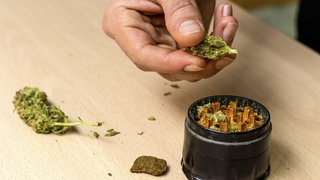 Hände einer Person, die Marihuana in einem Grinder zubereitet