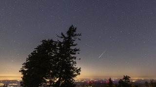 Im August erreichen die Perseiden ihren Höhepunkt - in den dunklen Regionen und Sternwarten von Rheinland-Pfalz sind ihre Sternschnuppen besonders gut zu sehen.
