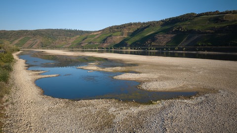 Niedrigwasser im Rhein: In Koblenz beraten Fachleute und Rheinanlieger über neue Strategien.