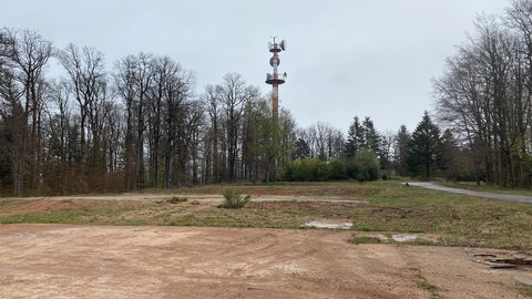 Hofstätten Langerkopf