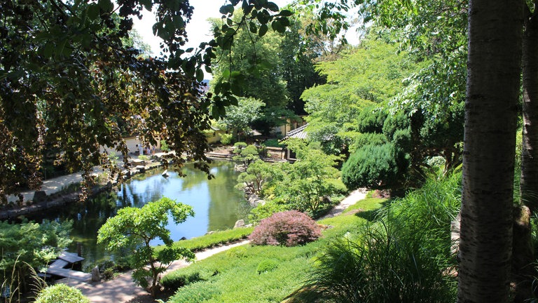 Japanischer Garten Kaiserslautern
