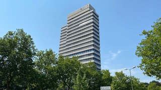 Das Rathaus in Kaiserslautern: 