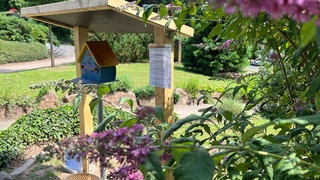 Kaiserslautern hat einen Himmelsbriefkasten bekommen