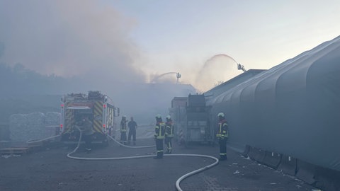 In Kirchheimbolanden hat es in der Nacht bei einem Müllentsorger gebrannt