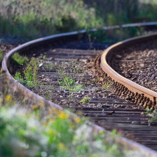 Unkraut wächst zwischen Bahngleisen. 