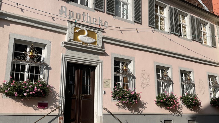 Historische Gebäude in Kircheimbolanden