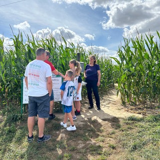 Das Maisfeld in Stetten wird jeden Sommer zum Maislabyrinth. Astrid Steuerwald-Ludwig denkt sich die Motive selbst aus und macht Wissens-Stationen dazu.