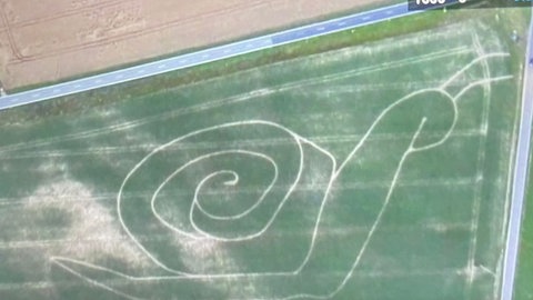 Das Maisfeld in Stetten wird jeden Sommer zum Maislabyrinth. Astrid Steuerwald-Ludwig denkt sich die Motive selbst aus und macht Wissens-Stationen dazu.
