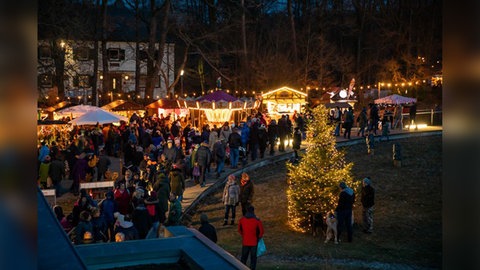 Funkelnde Lichterketten, Weihnachtsbäume und Stände bei der Romantischen Waldweihnacht Johanniskreuz