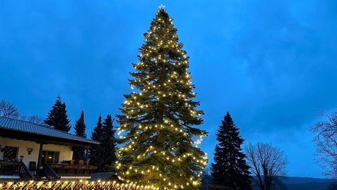 In der Westpfalz haben viele Menschen ihre Grundstücke weihnachtlich geschmückt