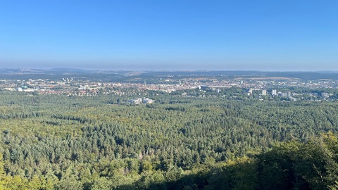Für den Verein Zukunftsregion hat die Westpfalz einiges zu bieten - aber auch noch Potenzial. Ein Blick auf Kaiserslautern.
