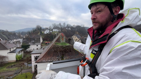 Die Pfalzwerke Netz AG entfernt ein Storchennest von einem Strommast am Bahnhof Theisbergstegen im Kreis Kusel.