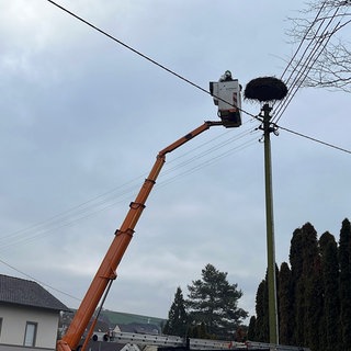 Die Pfalzwerke Netz AG entfernt ein Storchennest von einem Strommast am Bahnhof Theisbergstegen im Kreis Kusel.