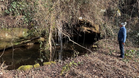 Die Landesgartenschau in Pirmasens