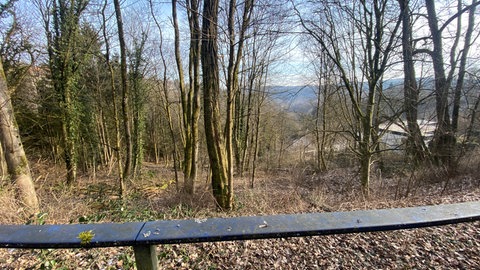 Die Landesgartenschau in Pirmasens