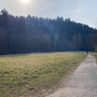 Der Eisweiherpark in Pirmasens
