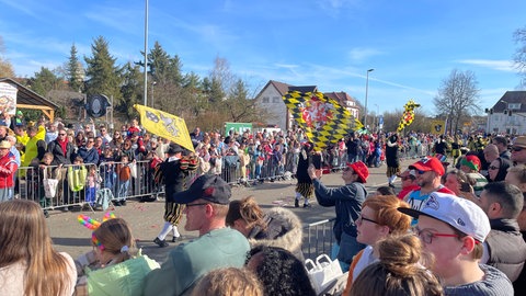 Fahnenschwenker auf dem Fastnachtsumzug in Ramstein-Miesenbach