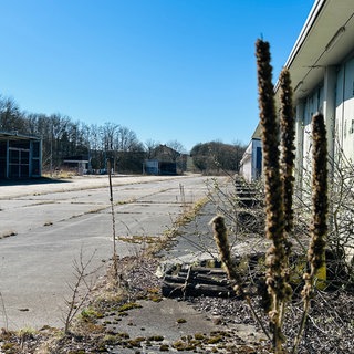 Bis 2014 war das Gelände auf dem Windhof mit dem Militär besetzt. Jetzt sitzt dort seit zehn Jahren eine Erstaufnahmeeinrichtung für Asylbegehrende. Das restliche GElände verkommt zum Lost Place.